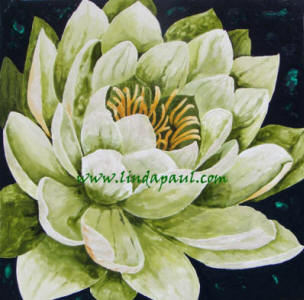 lotus flower painting