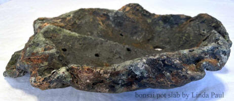 lichen colors bonsai pot and slab
