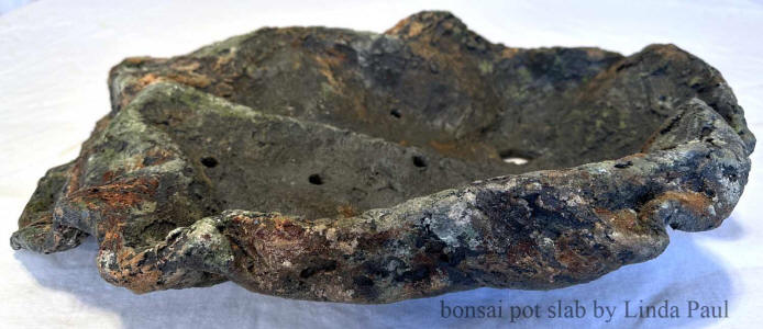 lichen colors bonsai pot and slab