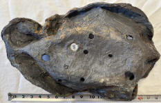 bottom