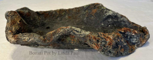 lichen series bonsai pot