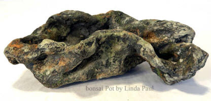 lichen bonsai pot small and deep