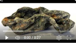 video of bonsai lichen pot