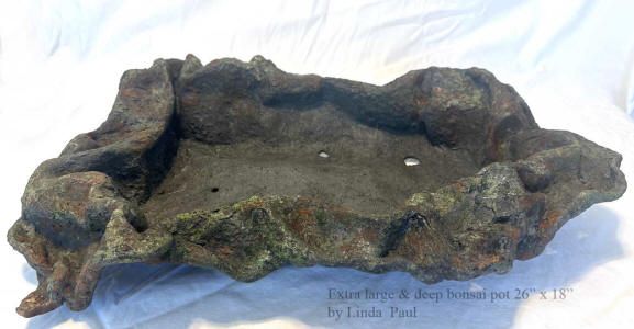 extra large and deep bonsai pot