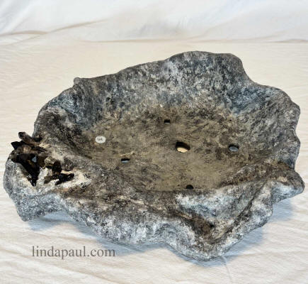 bonsai pot with smoky quartz crystals