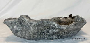 side view of bonsai pot