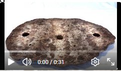 video of bonsai slab