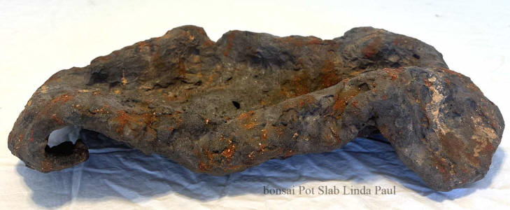 bonsai slab for sale