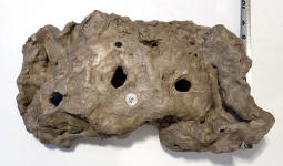 bottom of pot