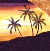 palm trees decorative tile