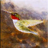 hummingbird decorative ceramic tile